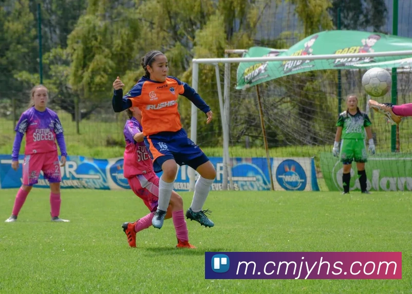 奖项证书